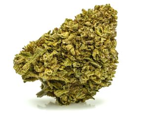 gorilla glue