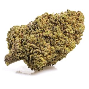 mango haze invernadero